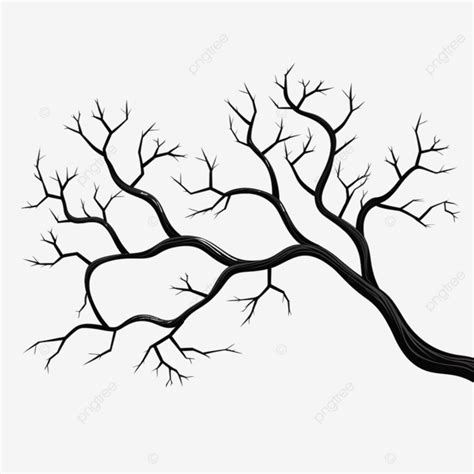 Tree Branch Outline, Tree, Design, Outline PNG Transparent Image and ...