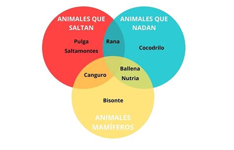 Diagrama De Venn Representando Una Funcion Compara Contrasta