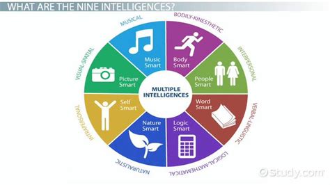 Howard Gardner Multiple Intelligences Book