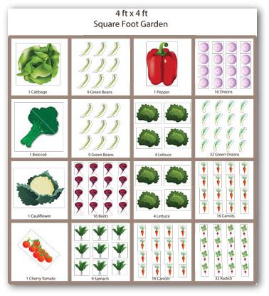 Vegetable Garden Designs for Beginner Gardeners