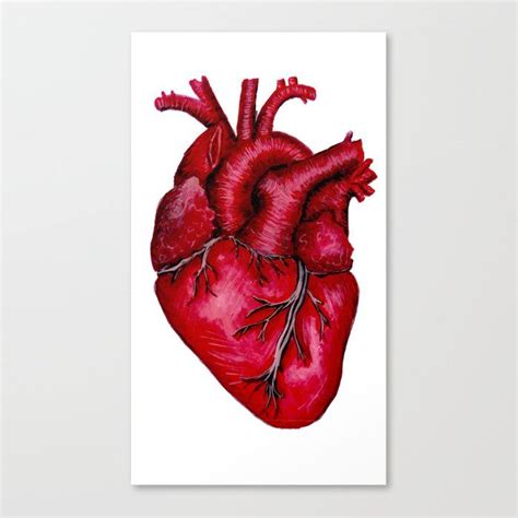 Anatomical Heart Painting Red Canvas Print by Jessica Lisska Artwork ...