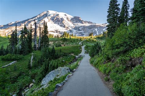 How To Hike The Incredible Skyline Trail At Mt. Rainier