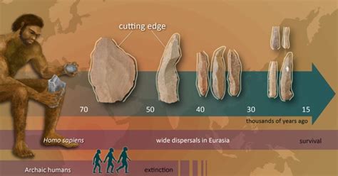 Theory of human evolution could be rewritten after incredible 50,000 ...