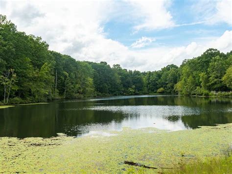 11 Best Parks in Charlotte, North Carolina