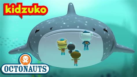 Octonauts Whale Shark Toy | Wow Blog