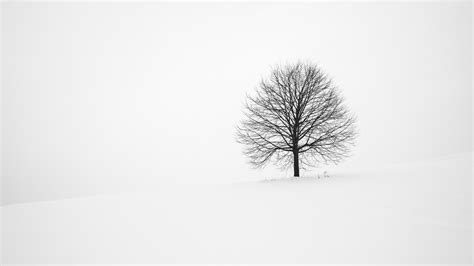 Tree Winter Snow Minimal Hd Wallpaper - Minimalist Winter Background ...