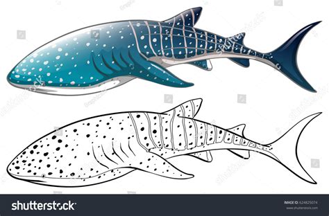 Whale Shark Outline Stock Vector 624825074 - Shutterstock