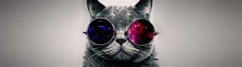 High Resolution Cat And Dog Dual Monitor Wallpaper - Dogs And Cats ...