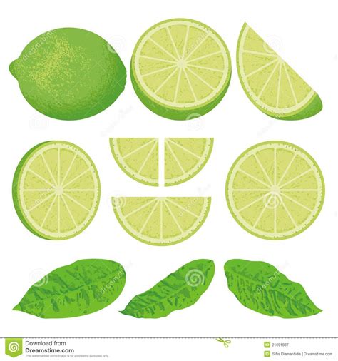 Lime slices clipart 20 free Cliparts | Download images on Clipground 2024