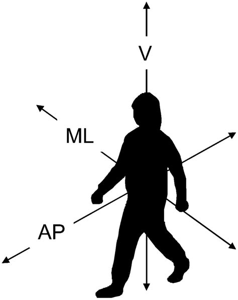 Directions of displacement. AP: Anterior-posterior direction ...