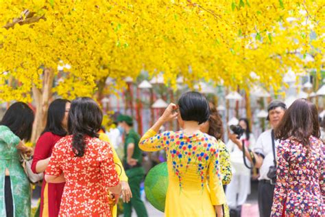 Tet Vietnam Stock Photos, Pictures & Royalty-Free Images - iStock