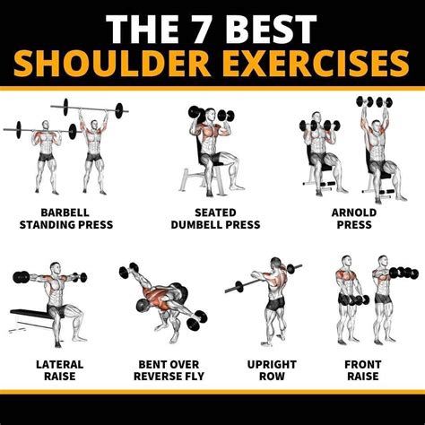 The 7 Best Shoulder Exercises : r/LoveWithFitness