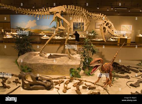 Dakota Dinosaur Museum Dickinson North Dakota USA Stock Photo - Alamy