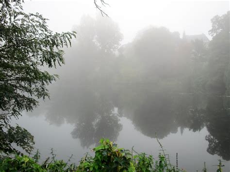 lake in autumn fog 2 Free Photo Download | FreeImages