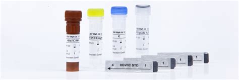 RoboGene HBV DNA Quantification Kit 3.0 | Roboscreen GmbH