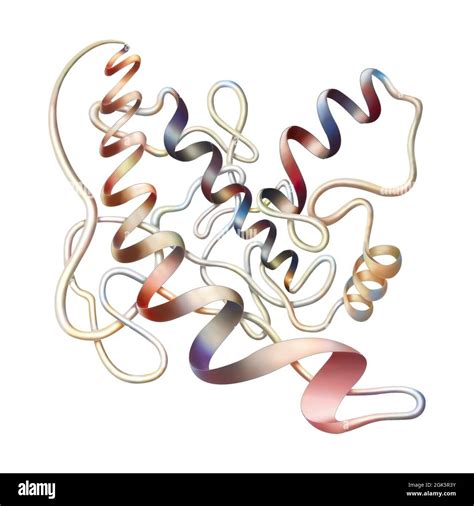 Secondary protein structure hi-res stock photography and images - Alamy