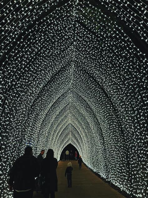 Head to the Fort Worth Botanic Garden for the Immersive Holiday ...