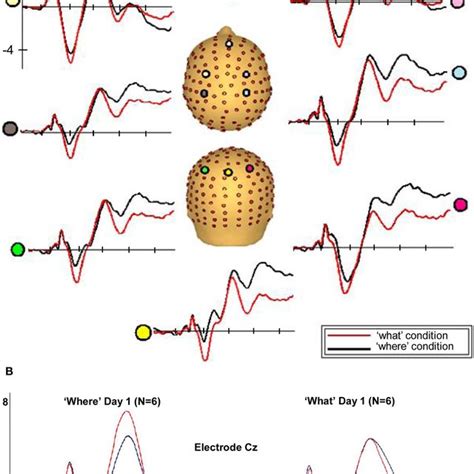 Graphic representation of sound source locations. Seven sound sources ...