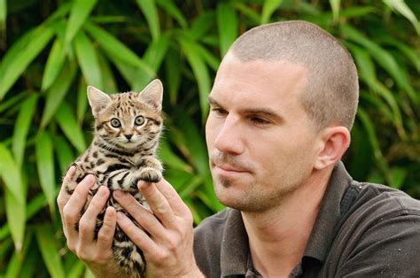 The Rusty Spotted Cat is the smallest wildcat, only 3.5lbs. This one is ...