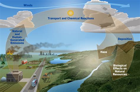 Effects Of Air Pollution