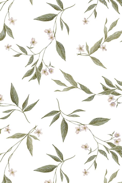 Vines Wallpaper | Vintage Floral Wallpaper- Anewall Decor