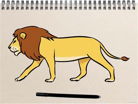 Lion Drawing Ideas How to draw a Lion