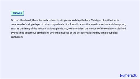 SOLVED: What kind of cells would you find lining the mucosa of the ...