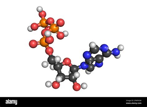 Adenosine triphosphate ATP molecule 3D render chemical structure Stock ...