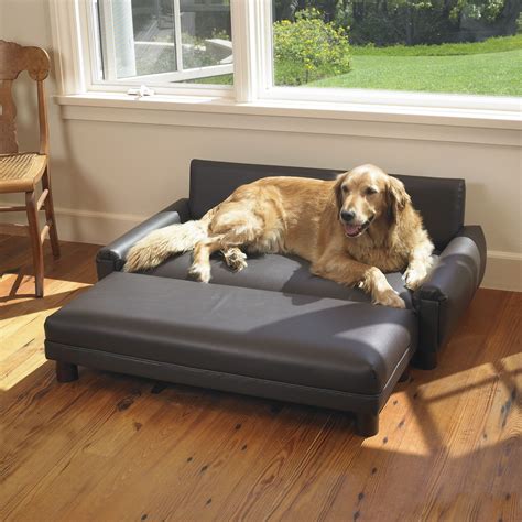 Leather Dog Beds - Foter