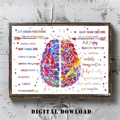 Left and Right Brain Function Brain Anatomy Watercolor Print Medical ...