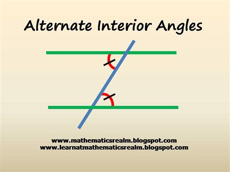 Lines Angles And Triangles Pdf