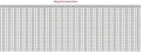 Sheep Gestation Calculator & Chart {Printable} - Livestocking