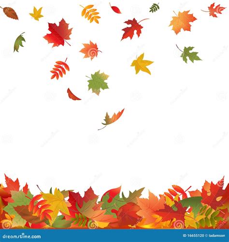 Falling Fall Leaves. Vector Stock Photo - Image: 16655120