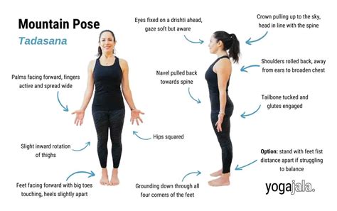 Mountain Pose (Tadasana)