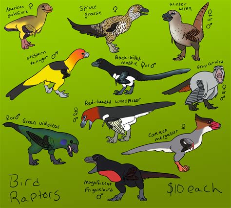 Raptor birds $10 — Weasyl