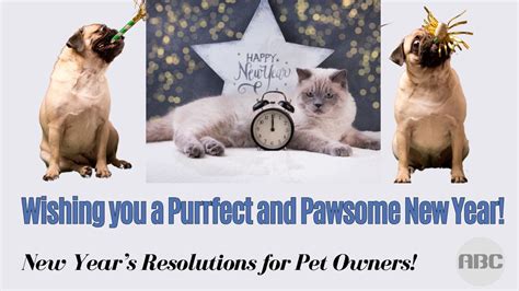 New Year’s Resolutions for Pet Owners – PickensProgress.com