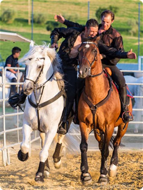 Horse Fever June 14-16, 2013 in Sarteano, Tuscany - Something for Whole ...