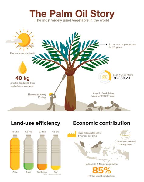 Palm Oil Deforestation Facts