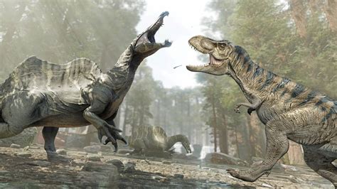 Spinosaurus Vs Tyrannosaurus - Difference And Comparison 3AC