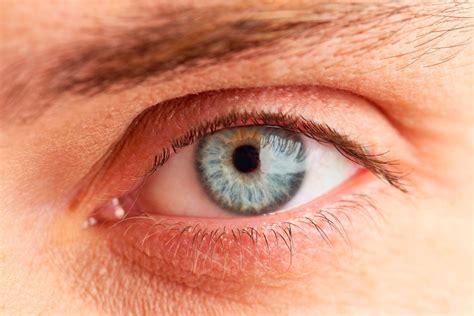 Why Are Some Eyes the Color Blue? | The Healthy