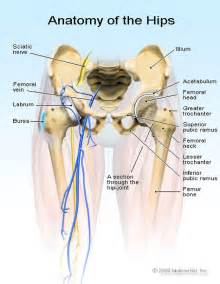 Hip Bursitis - Physio advice