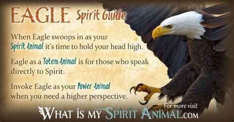 Eagle Symbolism & Meaning | Spirit, Totem & Power Animal