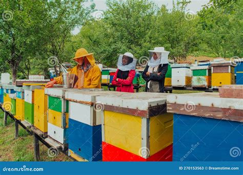 Business Partners with an Experienced Senior Beekeeper Checking the ...