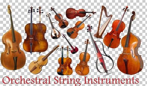 Musical Instruments String Instruments Violin Family Cello PNG, Clipart ...