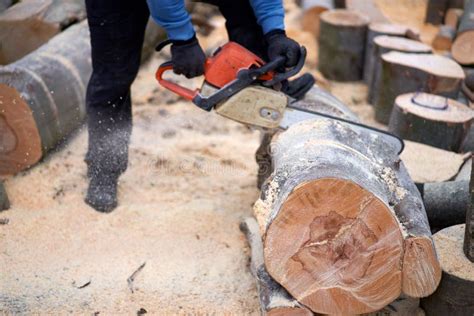 Anonymous Lumberjack with Chainsaw Stock Image - Image of mechanical ...