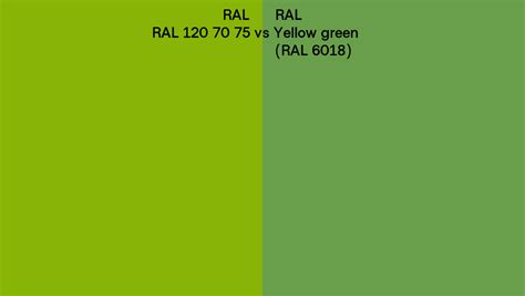 RAL RAL 120 70 75 vs Yellow green side by side comparison