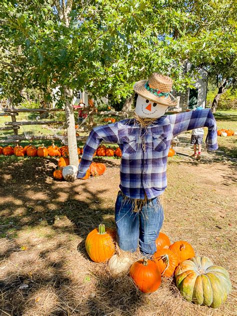 Things To Do In The Fall In Austin: Your Autumn Bucket List | The ...