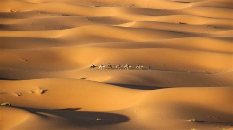 Sahara Desert Expanding, Largely Due to Climate Change | The Weather ...