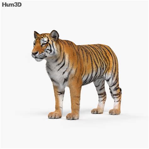 Animals 3D models for Download - 3DModels.org