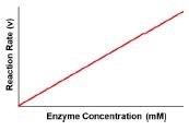 Enzyme Kinetics Video Tutorial & Practice | Pearson+ Channels